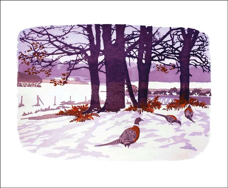 Greetings Card - First Light : Lizzie Perkins